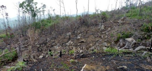 Isyu Pangkapaligiran sa Pilipinas 3