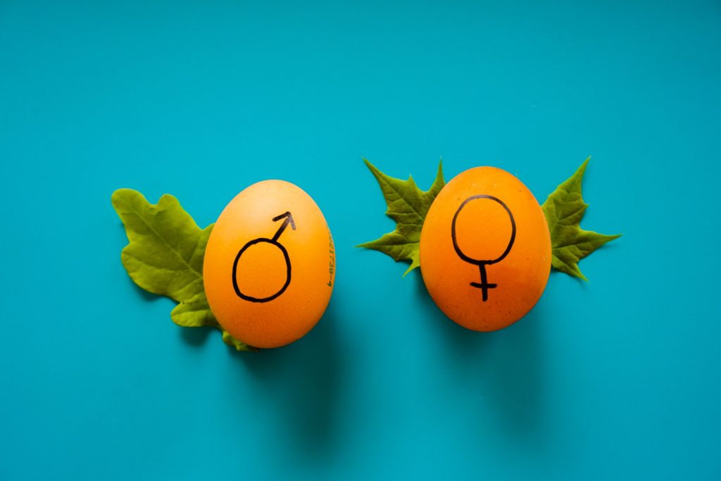 gender and sex symbols in orange eggs